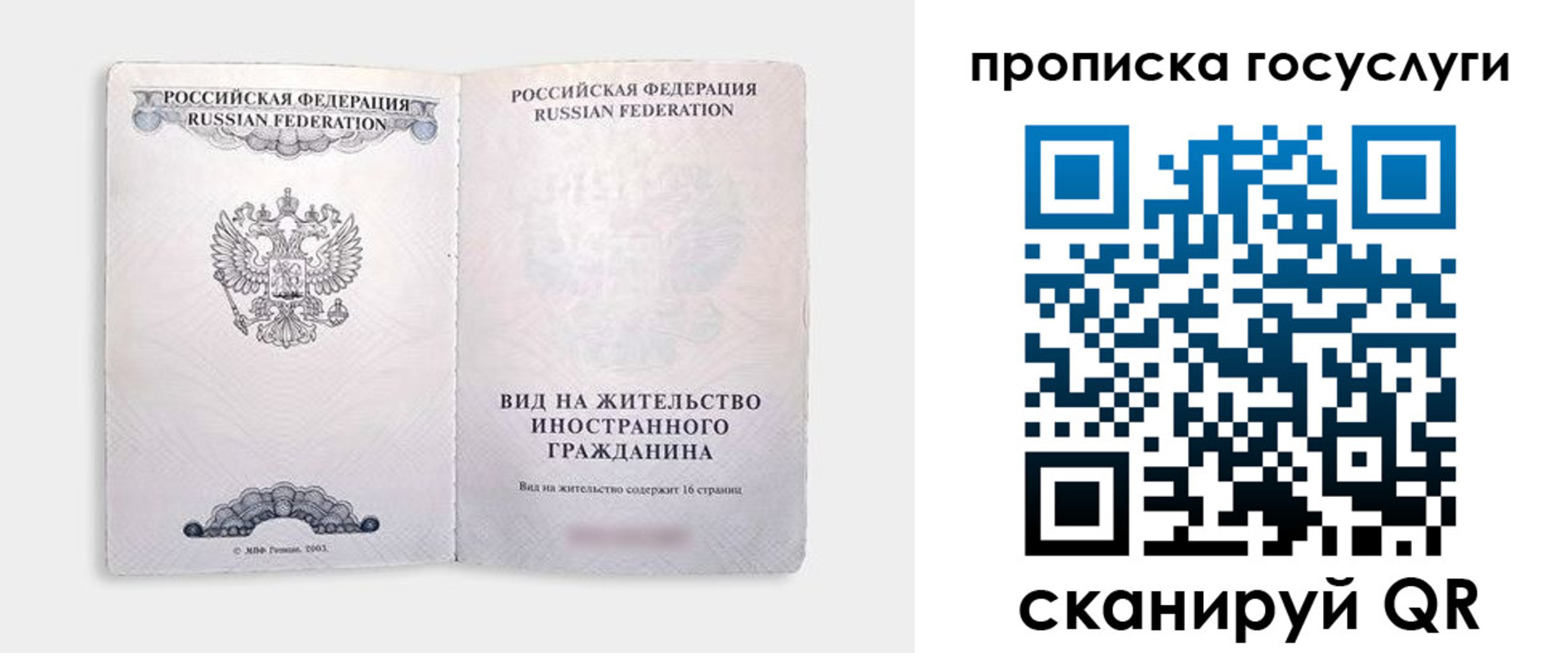 прописка поиск в Светлом